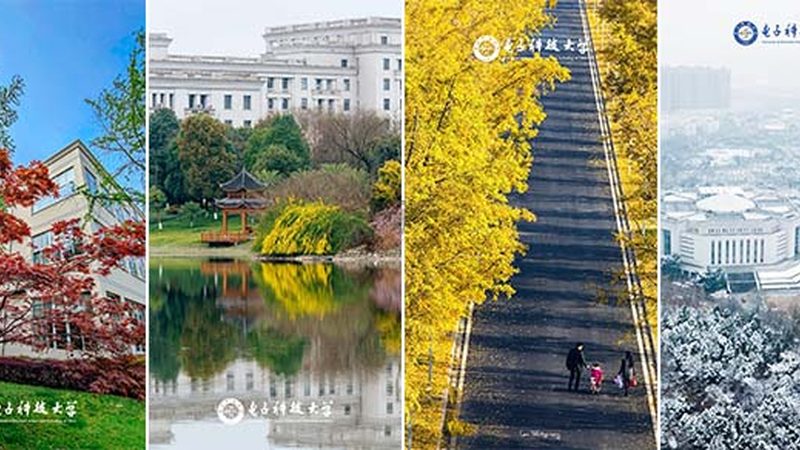 中间继电器接线图解析：关键参数与选购要点**
