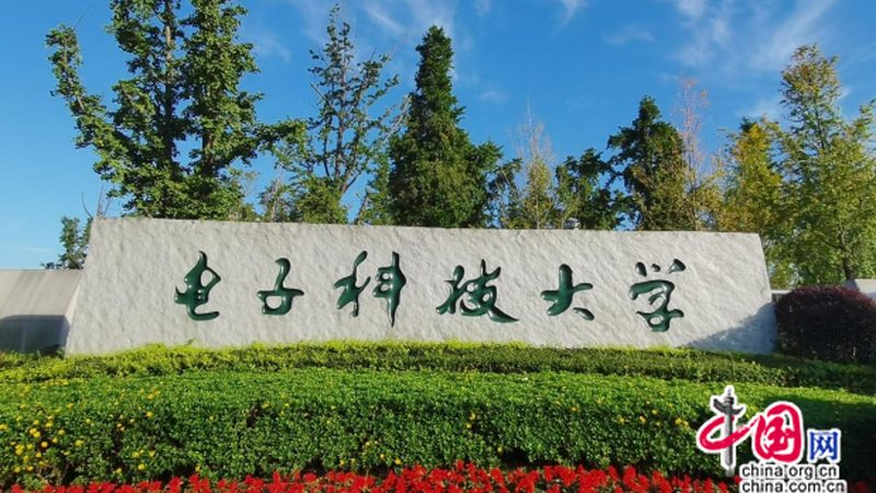 电子科技公司产品报价单：如何解读关键信息**